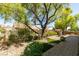 Lush backyard landscaping and a brick-paved walkway, with a large mature tree providing shade at 561 Carmel Valley St, Henderson, NV 89012