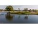 Scenic golf course pond featuring lush greenery and mature trees at 561 Carmel Valley St, Henderson, NV 89012