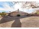 Expansive backyard featuring a neutral-tone home, garden bed, blue sky, and lush plants at 6781 Southgate St, Pahrump, NV 89061
