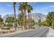Inviting street view lined with palm trees and landscaped frontages, set against a backdrop of majestic mountains at 10305 Snyder Ave, Las Vegas, NV 89134