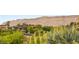 Expansive mountain view with luxury home surrounded by mature trees and desert landscaping at 11453 Glowing Sunset Ln, Las Vegas, NV 89135