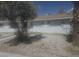 Cozy home exterior featuring a well-maintained yard and mature trees, with a glimpse of the roof at 4329 Studio St, Las Vegas, NV 89115