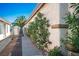 View of the side yard with mature trees, brick walkway, and access gate at 4529 Gracemont Ave, Las Vegas, NV 89139