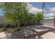 Spacious backyard featuring a paved area surrounded by mature trees and landscaping at 800 Antonio Dr, Las Vegas, NV 89107