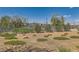 Community park area with decorative landscaping, walkways, and a covered picnic area, perfect for neighborhood gatherings at 3194 Lumassina Way, Henderson, NV 89044