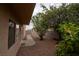 Backyard area showcasing desert landscaping, walkway, mature trees, and a storage shed enhancing outdoor appeal at 904 Swift Bear St, Henderson, NV 89002