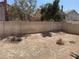 Spacious backyard featuring a block wall and desert landscaping at 925 Scarlet Haze Ave, Las Vegas, NV 89183