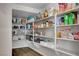 Walk-in pantry with abundant shelving for organized storage of food items and kitchen appliances at 10161 Bismarck Palms Ave, Las Vegas, NV 89166