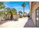 This backyard has palm trees, a block fence, and desert landscaping at 118 Westin Ln, Henderson, NV 89002