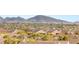 Picturesque aerial view of community nestled among green trees and majestic mountains at 2069 Alto Vista Dr, Henderson, NV 89052