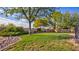 Well-maintained backyard with lush green lawn and decorative stone edging, creating a serene outdoor space at 1513 Ravanusa Dr, Henderson, NV 89052