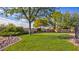 Spacious backyard featuring a grassy lawn, mature trees, and decorative rock border at 1513 Ravanusa Dr, Henderson, NV 89052