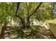 Lush backyard landscaping with mature tree providing shade at 1813 Francisco Peak Pl, Las Vegas, NV 89128