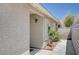 Close-up of home entrance with textured wall and decorative plants, adding charm to the exterior at 4212 Estaban Ct, Las Vegas, NV 89110