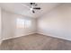 Bright bedroom with neutral carpet, ceiling fan, and a window providing natural light at 5417 Bible Cir, North Las Vegas, NV 89031