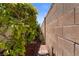 Cozy side yard featuring a brick path and lush greenery, bordered by a tan concrete wall at 920 Serpentina Ave, Las Vegas, NV 89123