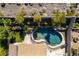 Aerial view of pool area with lush landscaping and privacy wall at 1779 Antelope Valley Ave, Henderson, NV 89012
