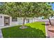 Landscaped back yard with manicured lawn, mature shade tree, and a covered patio at 3693 Miguels Ln, Las Vegas, NV 89120