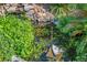 Close-up view of a relaxing koi pond with lush greenery, aquatic plants and colorful fish at 5805 Cabo San Lucas Ave, Las Vegas, NV 89131