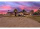 Lush backyard featuring a covered patio, swaying palm trees, and ample space for outdoor activities against a sunset backdrop at 825 W Ryan Ave, Overton, NV 89040