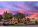Striking single-story home showcasing a manicured front yard with mature trees under a vibrant pink and blue sky at 825 W Ryan Ave, Overton, NV 89040
