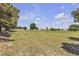 A lush green field with scattered trees and a white fence at 825 W Ryan Ave, Overton, NV 89040
