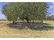 An expansive outdoor space featuring a fenced-in mature tree at 825 W Ryan Ave, Overton, NV 89040