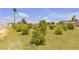 Grassy acreage with young trees offers potential and a rural feel in this building lot at 825 W Ryan Ave, Overton, NV 89040