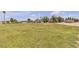 Expansive grassy acreage ready for building or development offers potential and a rural feel at 825 W Ryan Ave, Overton, NV 89040