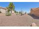 Low-maintenance backyard with desert landscaping, offering a blank canvas for personalization at 10428 Villa Ridge Dr, Las Vegas, NV 89134
