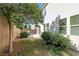 Landscaped backyard with a patio area and mature tree, providing shade and privacy at 135 Cadrow Castle Ct, Las Vegas, NV 89148