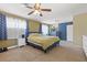 Bright bedroom featuring a ceiling fan, plush carpet, blue accents, and a large window for natural light at 1911 Valley Dr, Las Vegas, NV 89108