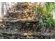 Exterior view of a rock waterfall feature surrounded by green plants and situated next to a home exterior at 1911 Valley Dr, Las Vegas, NV 89108