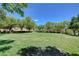 Expansive green space with mature trees, offering a serene and open environment for community enjoyment at 3218 Squire St, Las Vegas, NV 89135