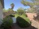 Private backyard with mature desert landscaping and privacy walls at 3328 White Bark Pine St, Las Vegas, NV 89129