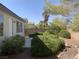 Landscaped backyard featuring low-maintenance desert plants and stone features at 3328 White Bark Pine St, Las Vegas, NV 89129