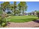 Community putting green with artificial turf at 3380 Kensbrook St, Las Vegas, NV 89121