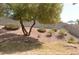Backyard featuring easy care desert landscaping, mature trees, and partial grass at 7253 Alsop Ct, Las Vegas, NV 89156