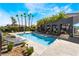 Community pool surrounded by palm trees and lounge chairs, creating a resort-like atmosphere at 9050 W Tropicana Ave # 1017, Las Vegas, NV 89147