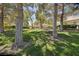 Lush, green community grounds with barbecue and mature trees at 1705 King James St # 203, Las Vegas, NV 89144