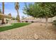 Backyard area with a covered patio, palm trees, low-maintenance landscaping and privacy wall at 2344 Valleywood St, Henderson, NV 89014