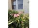 Charming exterior featuring blooming flowers, enhancing curb appeal at 3606 Di Salvo Dr # 133, Las Vegas, NV 89103
