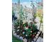 Landscaping with decorative stones and colorful flower arrangement at , Las Vegas, NV 89141