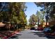 Community street view with mature trees and parked cars adding to the neighborhood's charm at 2851 S Valley View Blvd # 1130, Las Vegas, NV 89102