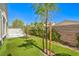 Backyard featuring green turf grass, young trees, and a block wall fence at 3709 Corte Bella Hills Ave, North Las Vegas, NV 89081