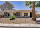 Charming single-story home with a well-maintained yard and mature palm tree providing curb appeal at 4829 Hot Springs Ave, Las Vegas, NV 89110