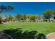 Serene grassy park area with mature trees, perfect for relaxation and outdoor activities within the community at 6100 Cocktail Dr, Las Vegas, NV 89130