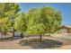 Charming front yard featuring a tree at 671 Riata Way, Las Vegas, NV 89110