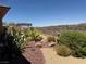 Desert backyard with landscaping, plants and shrubs at 18 Brookridge Dr, Henderson, NV 89052