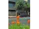 Condo building featuring colorful flowers in foreground and manicured landscaping creating a serene atmosphere at 1908 Rio Canyon Ct # 105, Las Vegas, NV 89128